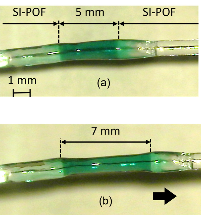 The photograph of LISW optical waveguide