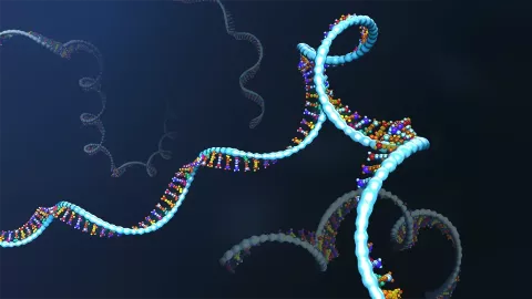 Ribonucleic Acid (RNA)