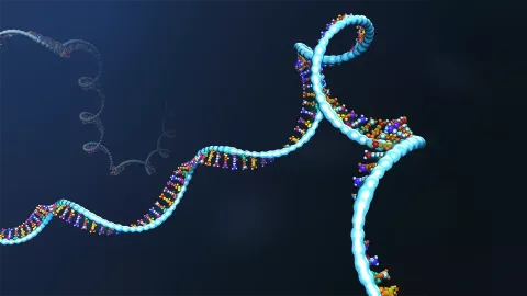 RNA