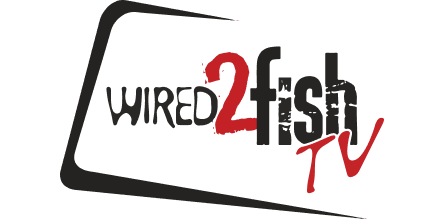 Wired 2 Fish Wired 2 Fish Logo