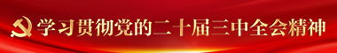 学习贯彻党的二十届三中全会精神