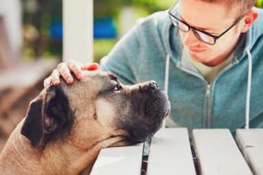 A man with glasses seated on a bench strokes his dog, illustrating pet grief and the pain of losing a pet.