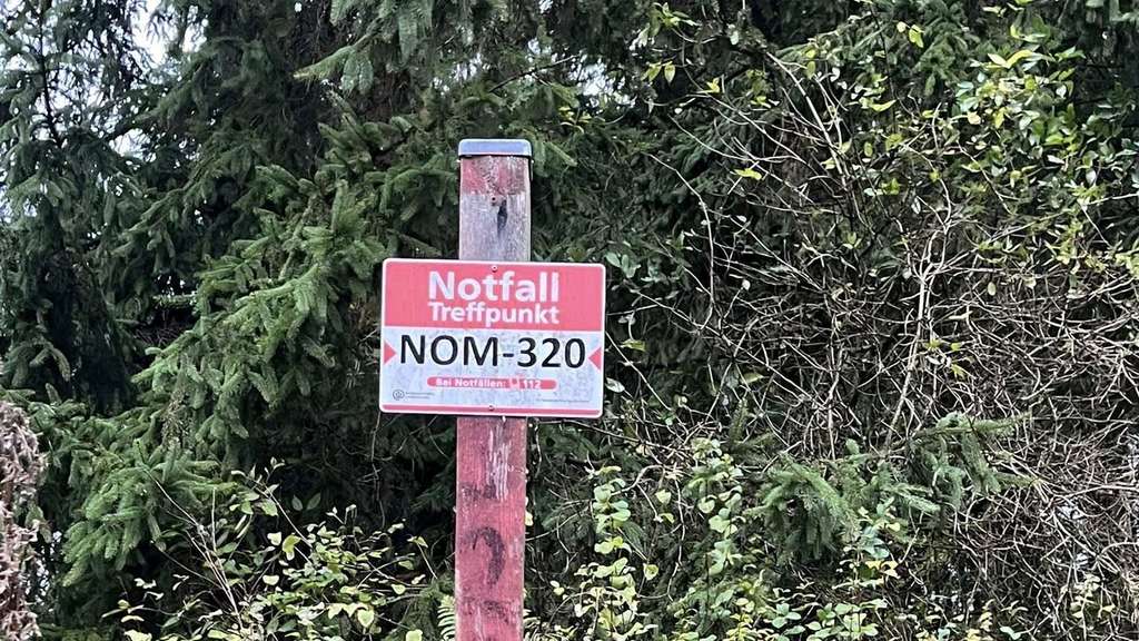 Tote Hündin im Wald gefunden: Sie muss starke Schmerzen gehabt haben – Polizei ermittelt wegen Straftat