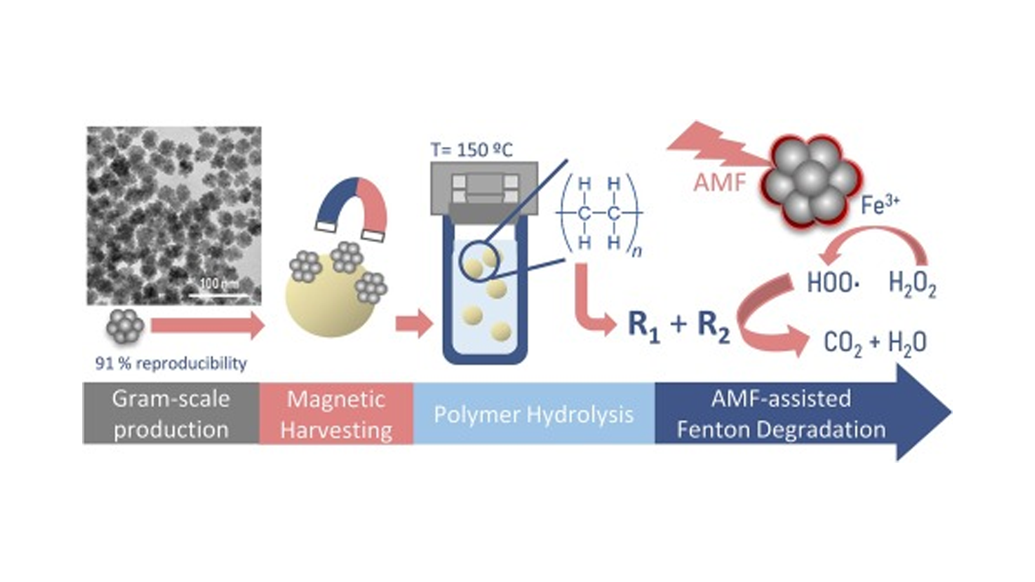 Magnetic Harvesting and Degradation of Microplastics using Iron Oxide Nanoflowers prepared by a Scaled-up Procedure