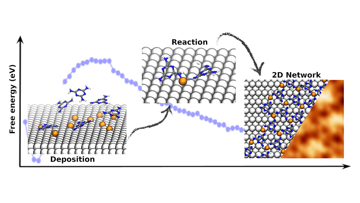 Graphical abstract: Single-metal-adatom catalysts for the synthesis of 2D carbon nitride metal-coordinated networks