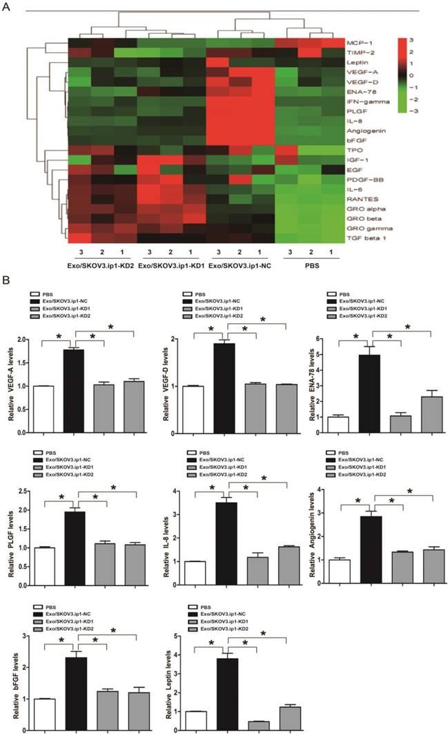 Int J Biol Sci Image