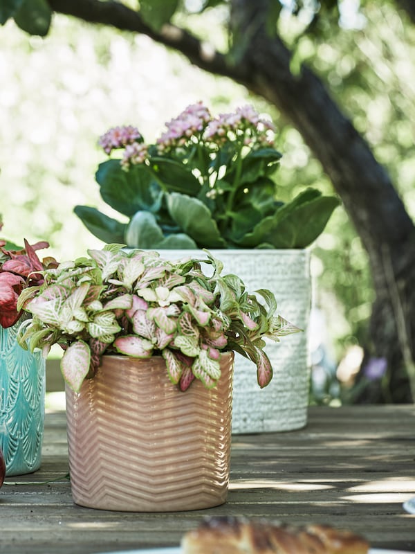 An in/outdoor light pink CHIAFRÖN plant pot