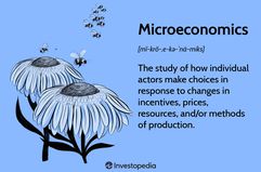 Microeconomics