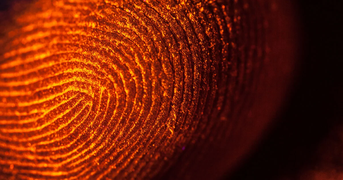 Píxeles de seguimiento: seguimiento online simplificado Imagen: Píxeles de seguimiento: seguimiento online simplificado