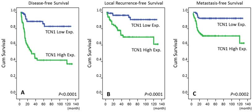 J Cancer Image