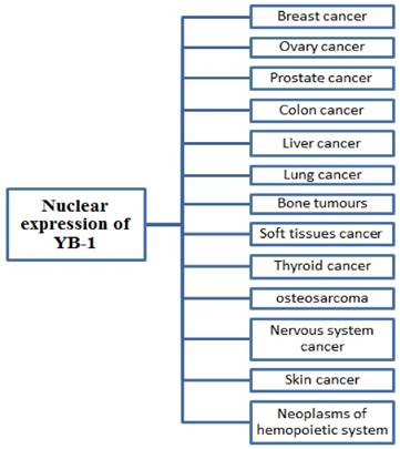 J Cancer Image