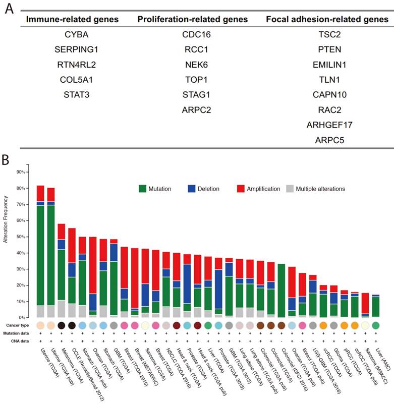 J Cancer Image