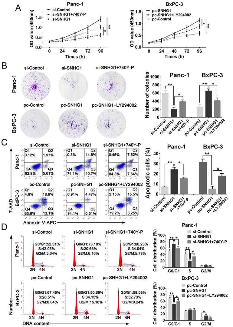 J Cancer Image