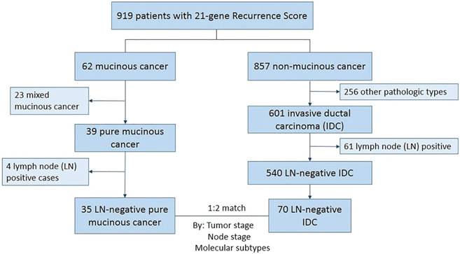 J Cancer Image