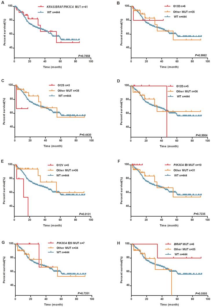 J Cancer Image