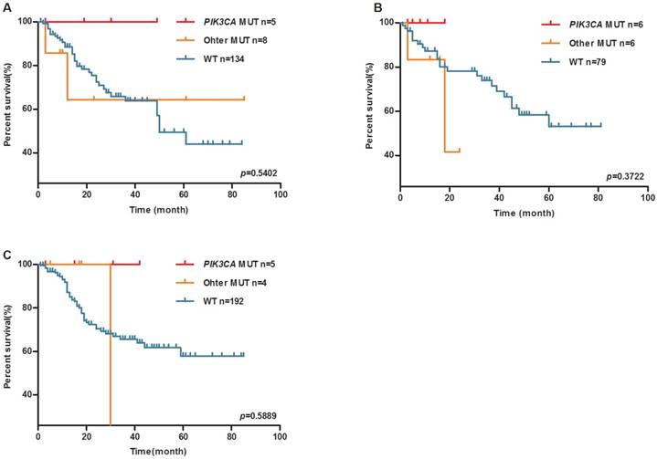 J Cancer Image