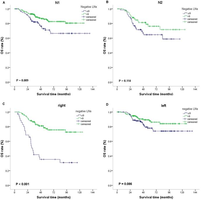 J Cancer Image