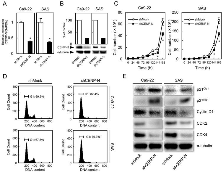 J Cancer Image