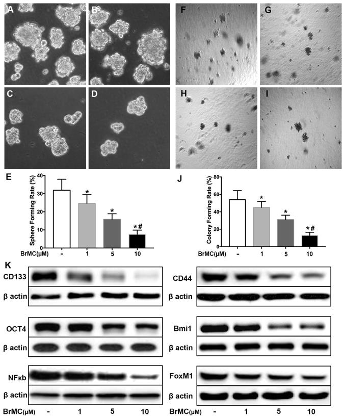 J Cancer Image