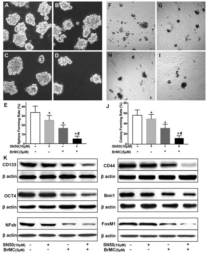 J Cancer Image