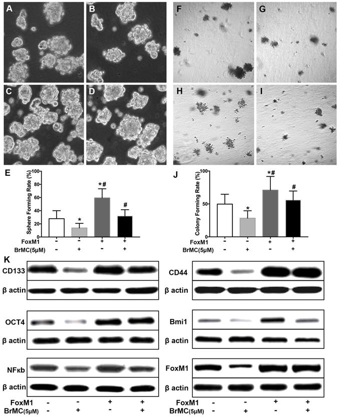 J Cancer Image