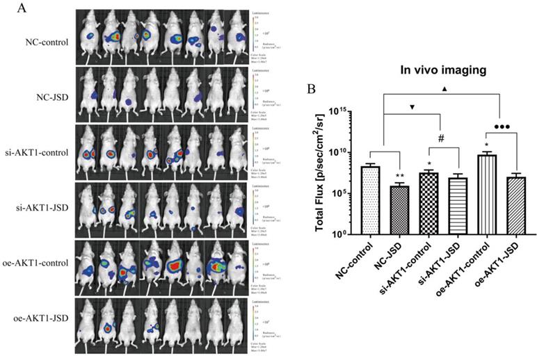 J Cancer Image