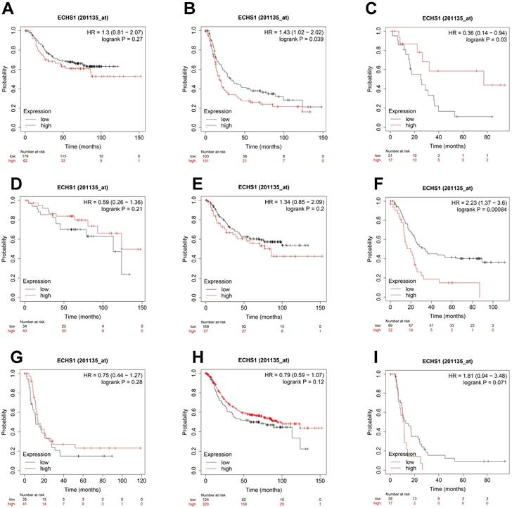 J Cancer Image