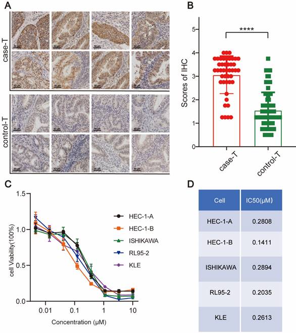 J Cancer Image