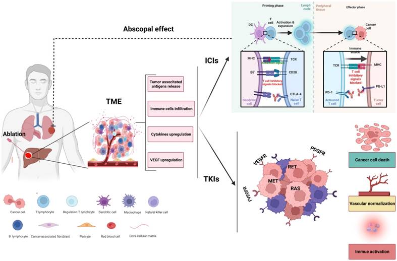 J Cancer Image