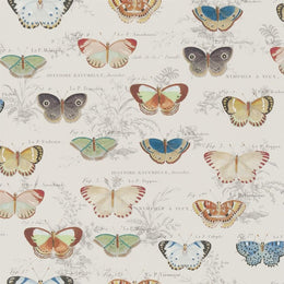 Butterfly Studies Parchment