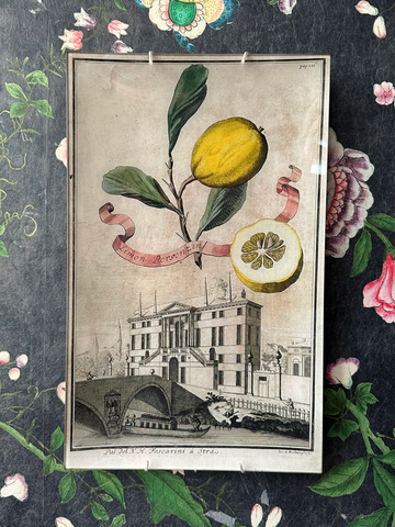 Decoupage Spotlight: Lemon Studies