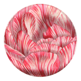 A four inch round handmade decoupage plate titled Double Tulip