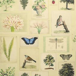 Flora and Fauna Parchment