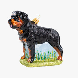 German Rottweiler Ornament