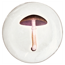 Mauve Champignon Comestible Dinner Plate