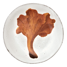 Chanterelle Comestible Plate