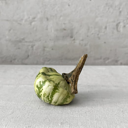 Small Porcelain Squash (CS1)