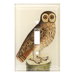 Owl #1