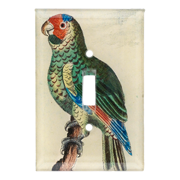 Parrot #10