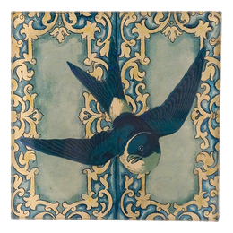 Blue Swallow