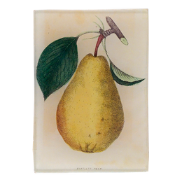 Bartlett Pear