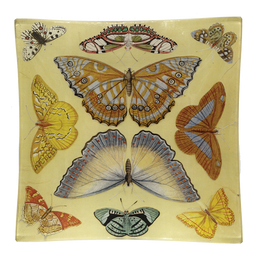 Butterfly Collection