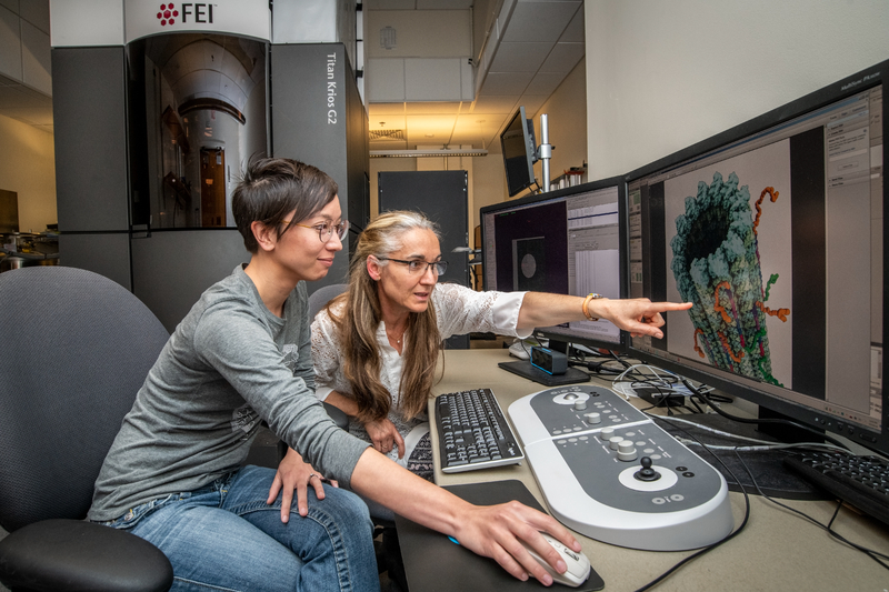 Two scientists point at a figure on the computer.