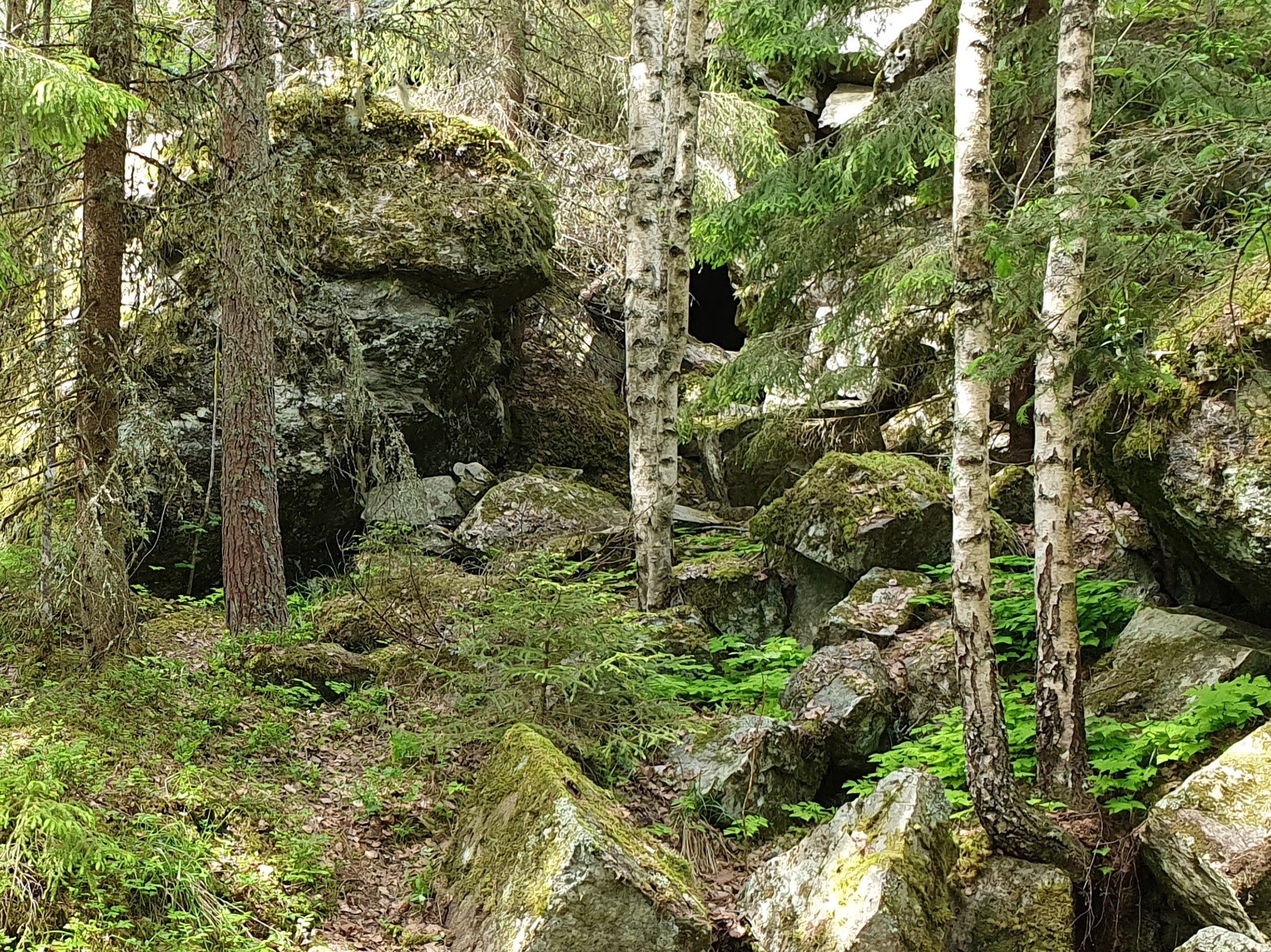 Bilde: Piggåsen dagbrudd