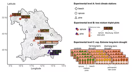 Map of the state of Bavaria depicting the sampling sites for each experimental level (left) and schematic representation of the experiments (right)