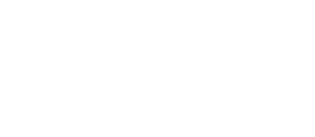 lyon