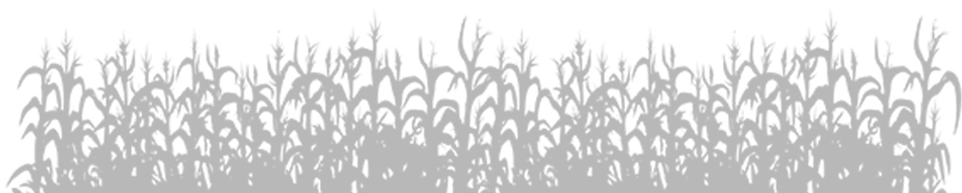 Maize Genetics Cooperation