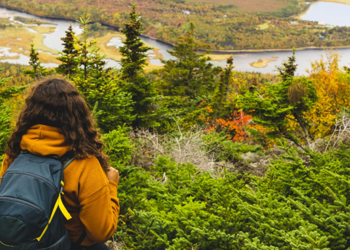 Person looking at forest