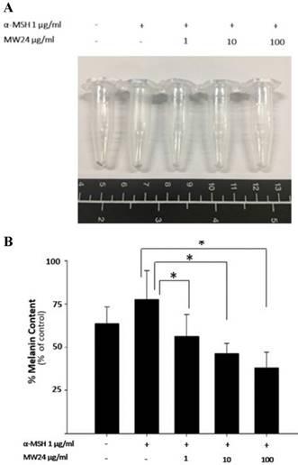 Int J Med Sci Image