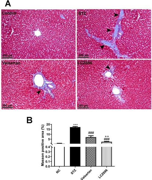 Int J Med Sci Image